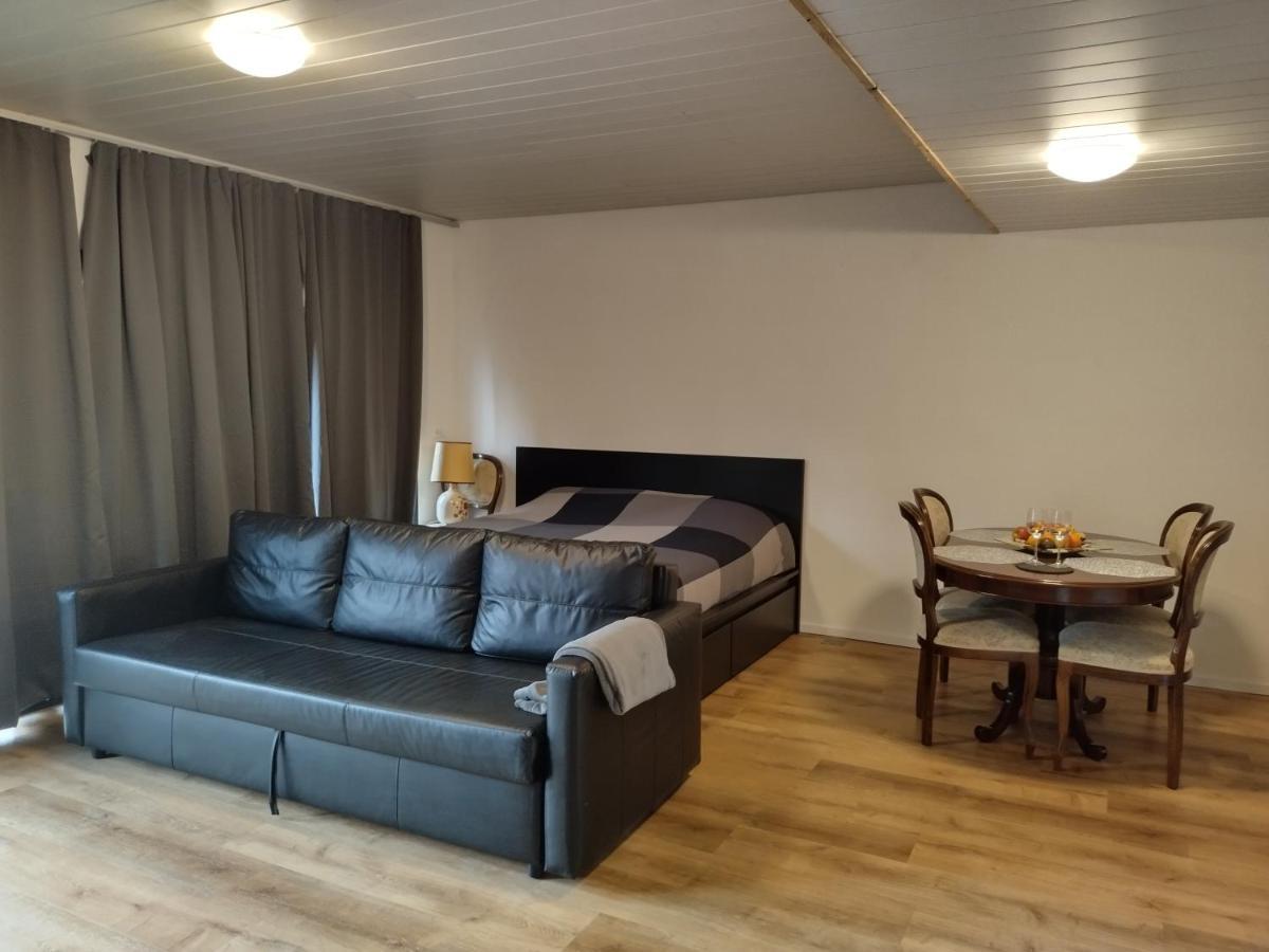 Spacieux Studio 38M2 Les Paccots Kültér fotó