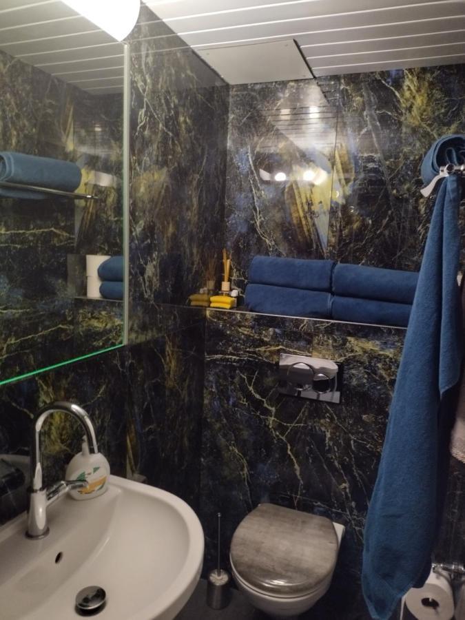 Spacieux Studio 38M2 Les Paccots Kültér fotó