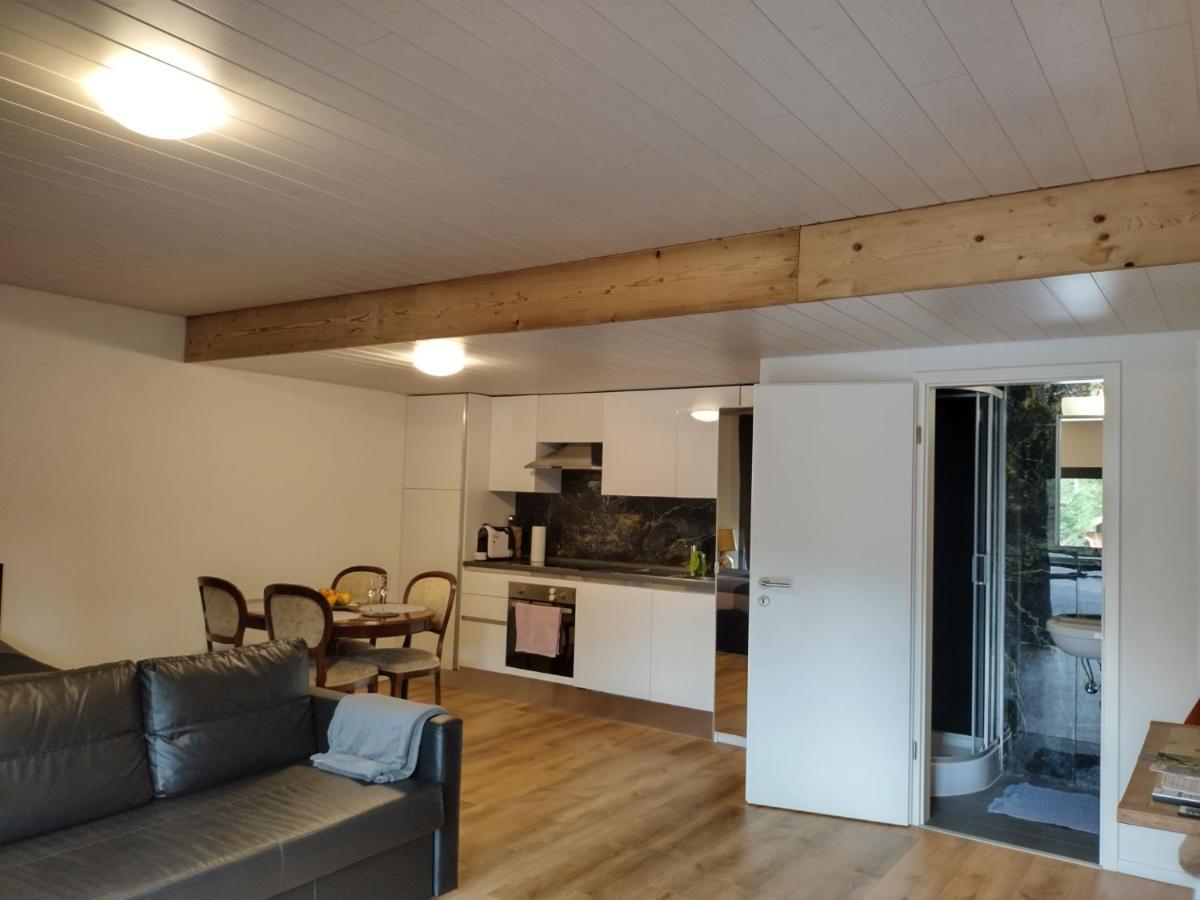 Spacieux Studio 38M2 Les Paccots Kültér fotó