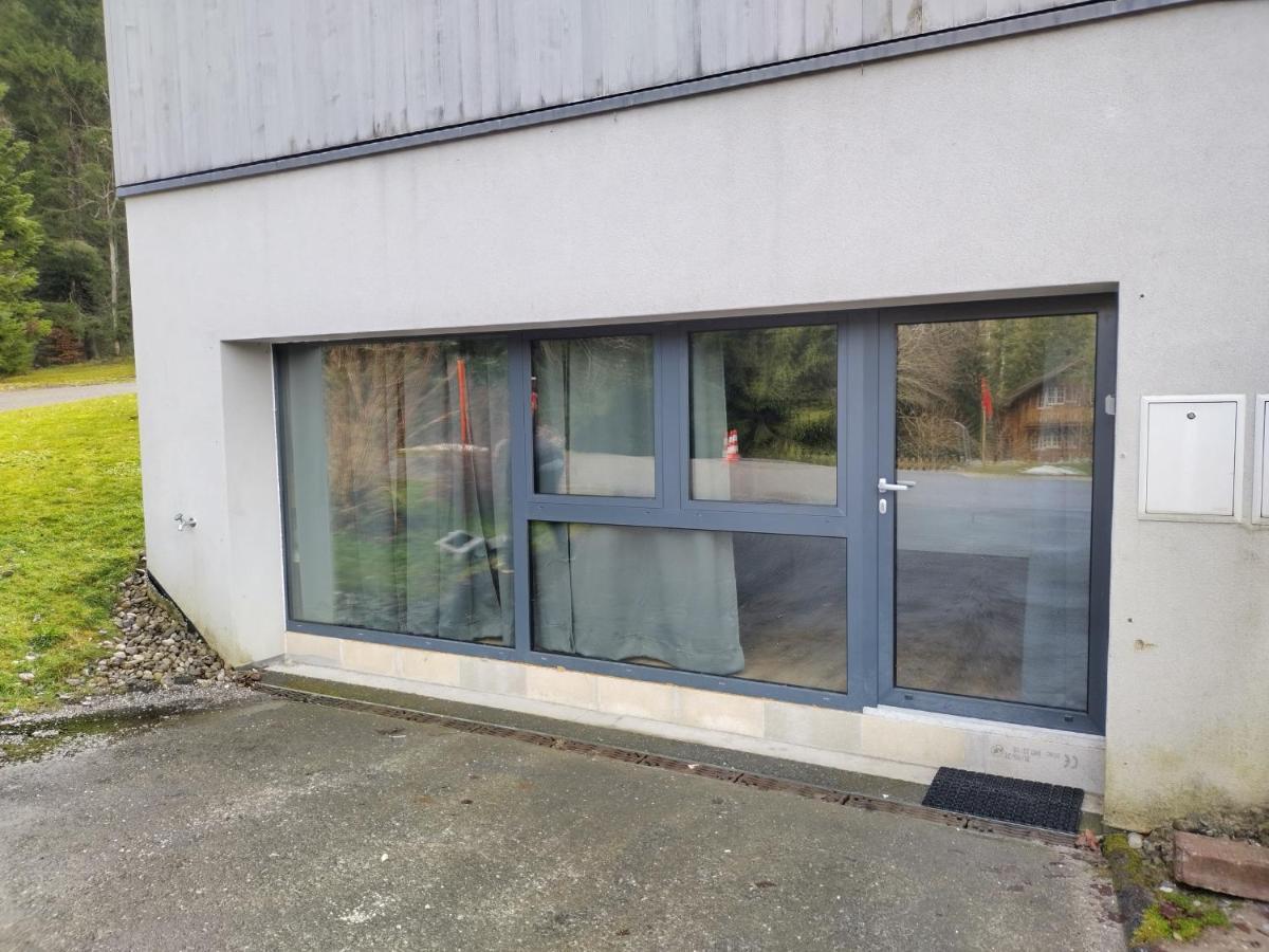 Spacieux Studio 38M2 Les Paccots Kültér fotó